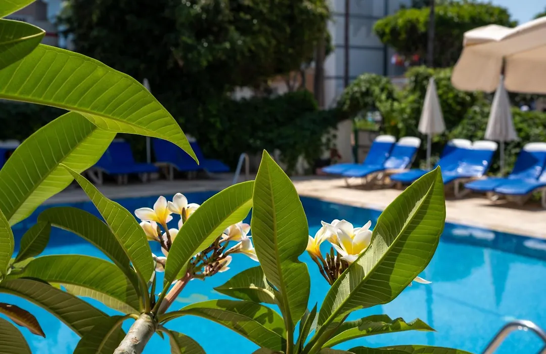 Miray Hotel Kleopatra-1